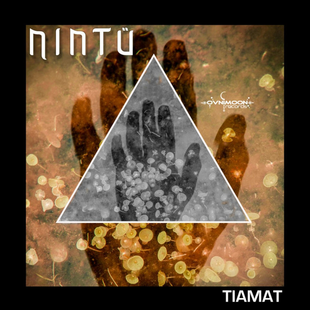 Tiamat cover art