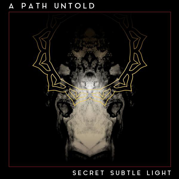 Secret Subtle Light cover art