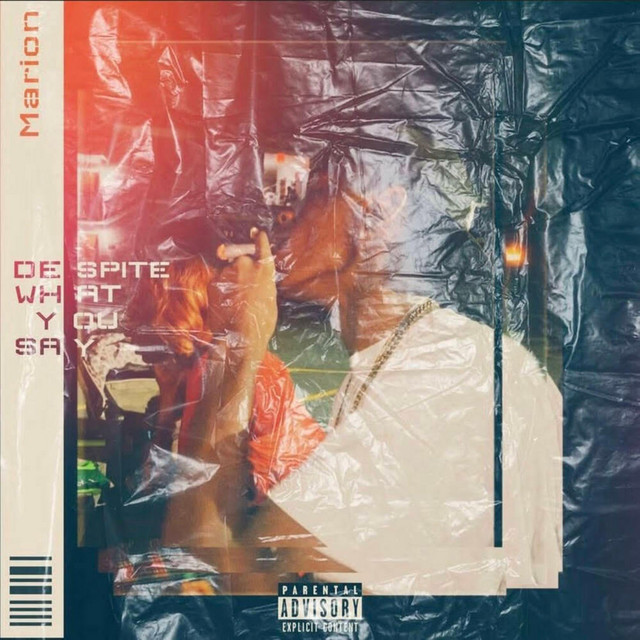 Despite What You Say cover art