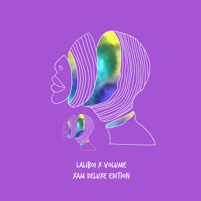 Xam - MOJVKI Remix cover art