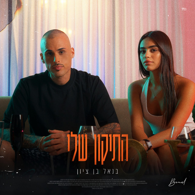 התיקון שלי