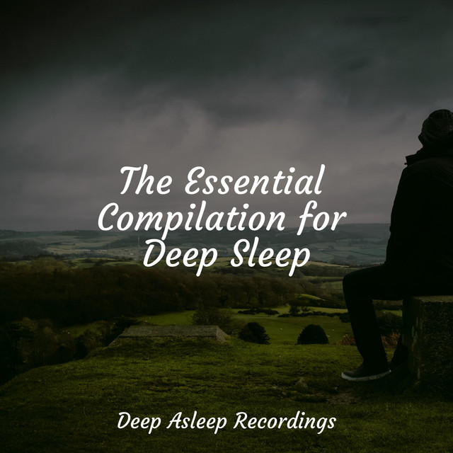 The Essential Compilation for Deep Sleep - Album by Yoga Namaste | Spotify