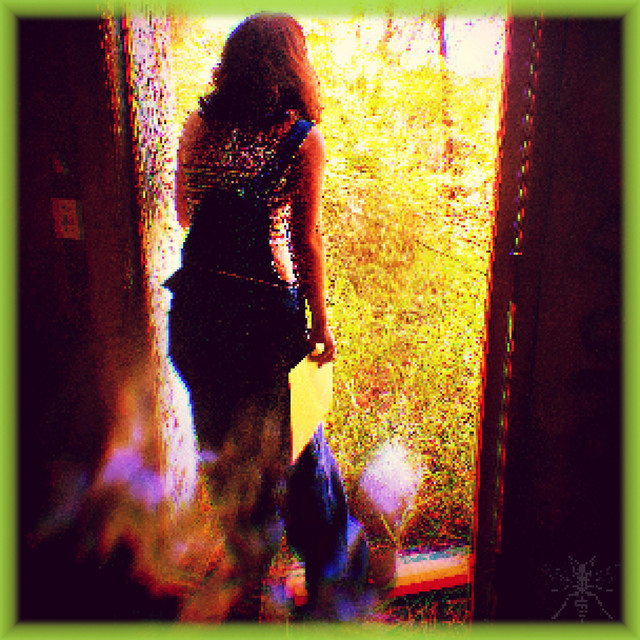 Lavender cover art