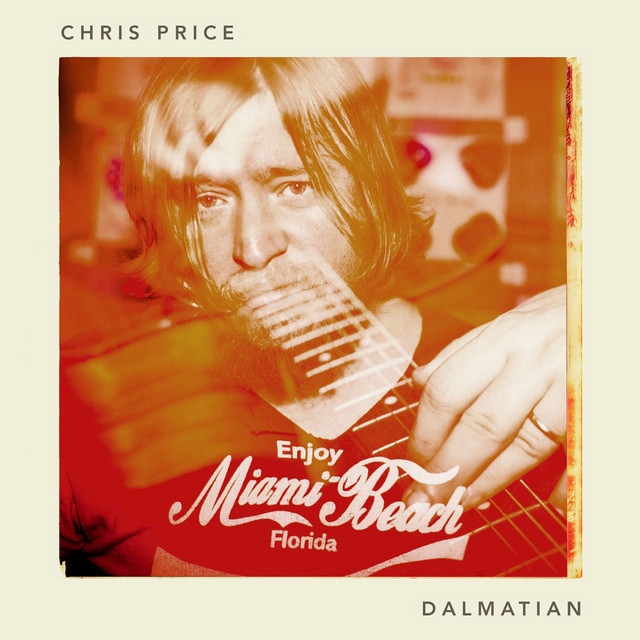 Dalmatian cover