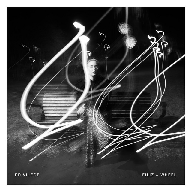 Privilege cover art