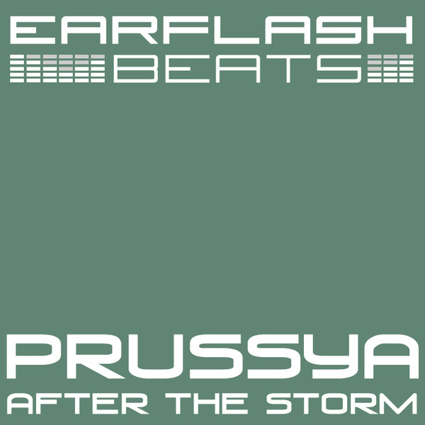 After The Storm cover