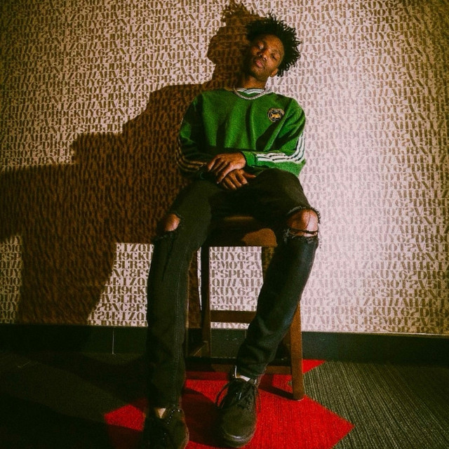 Irreplaceable cover art