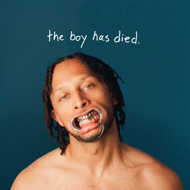 the boy has died. cover