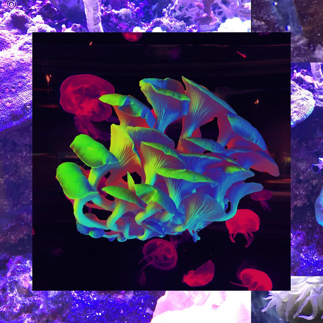 sea creature cover art