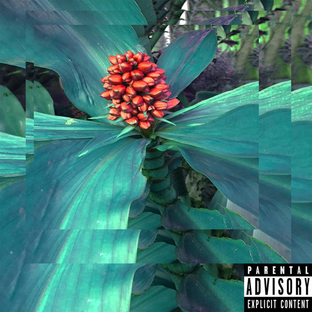 Mariah cover art
