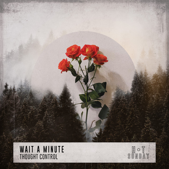 Wait a Minute cover