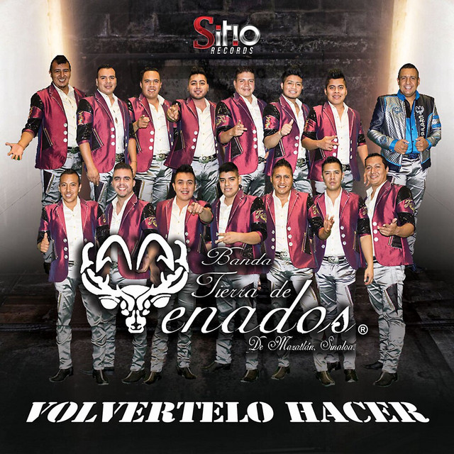 Volvertelo Hacer cover art