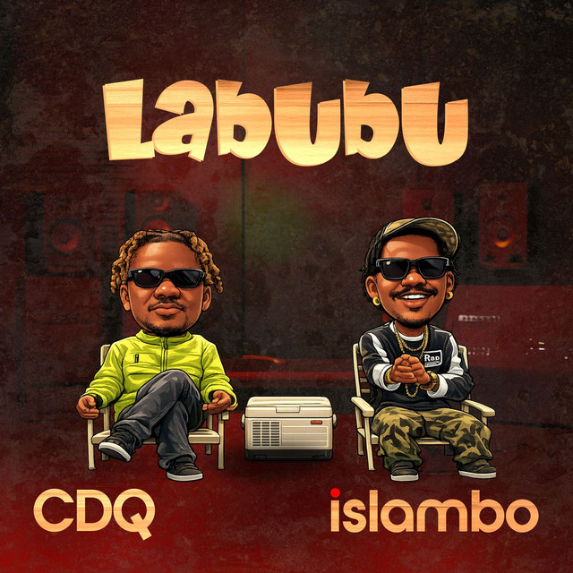 Labubu cover art