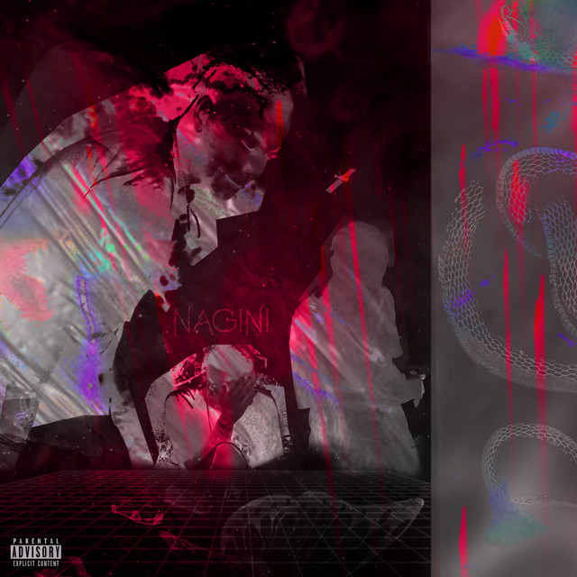 Nagini cover art