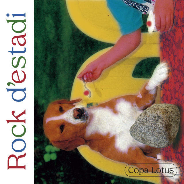 Rock d'estadi cover