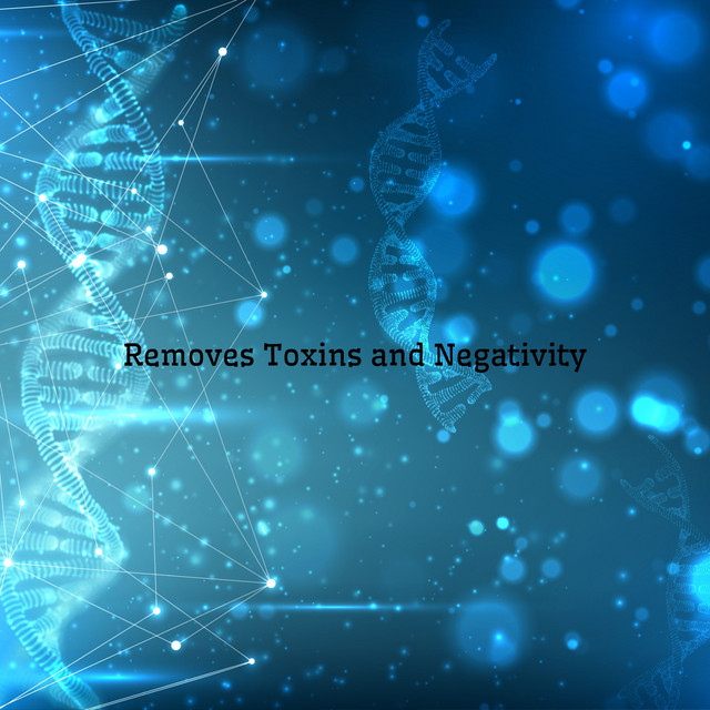Removes Toxins and Negativity cover art
