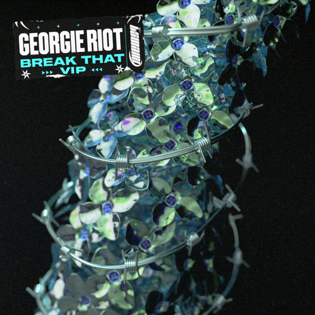 Break That - VIP album art