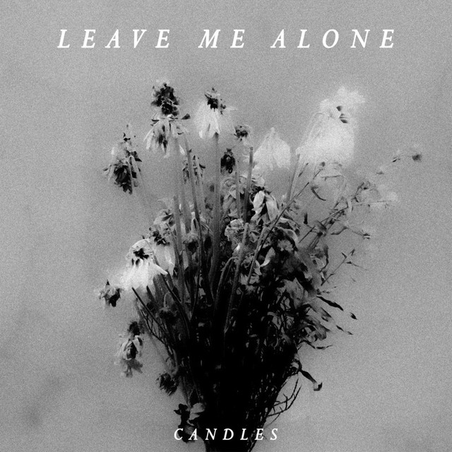 Leave Me Alone cover art