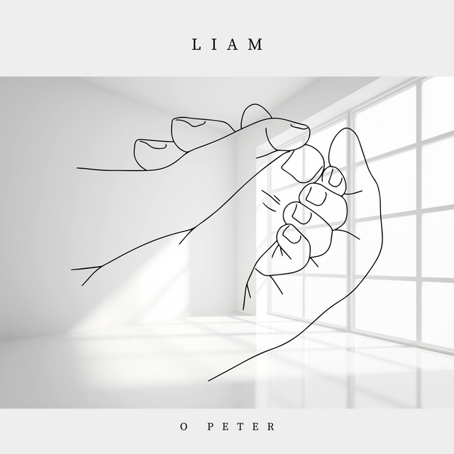 Liam cover art