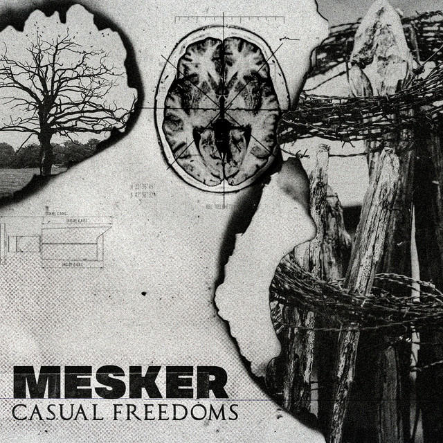 Casual Freedoms cover art