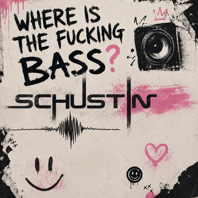 Where Is The Fucking Bass cover