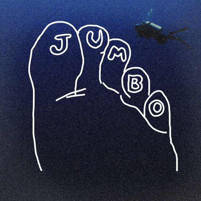 Platypus / Witch cover art