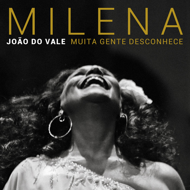 João do Vale Muita Gente Desconhece cover art
