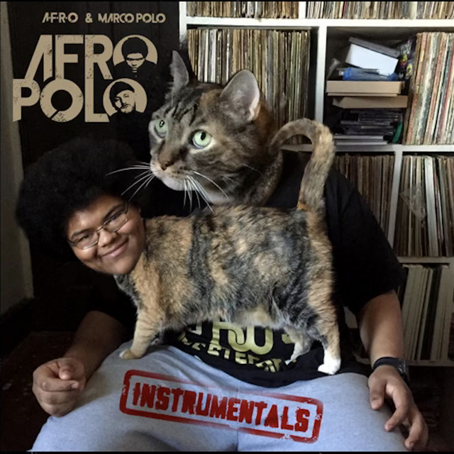 A-F-R-O Polo (Instrumentals) cover art