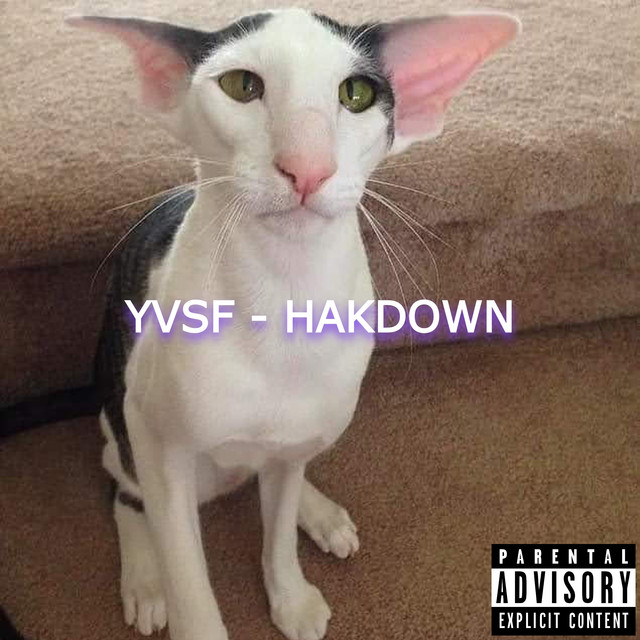 hakdown cover art