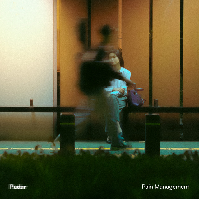 Pudar cover art