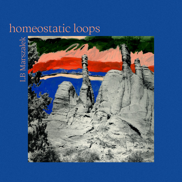 Homeostatic Loops cover art