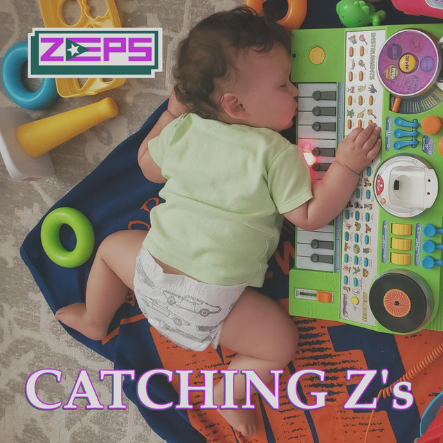 Catching Z's cover art