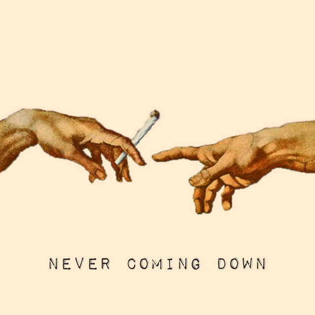 Never Coming Down - Single by Rob Curly | Spotify