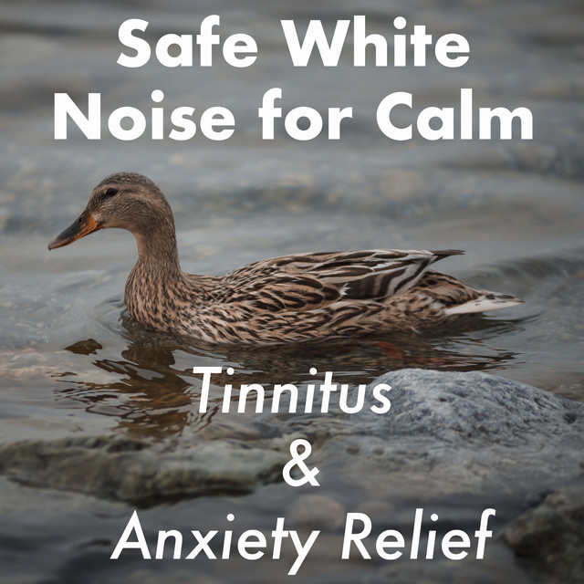 Ambient Works. White Noise Rain for Tinnitus and Anxiety Relief, Safe Sounds for Looping to Calm Down cover art