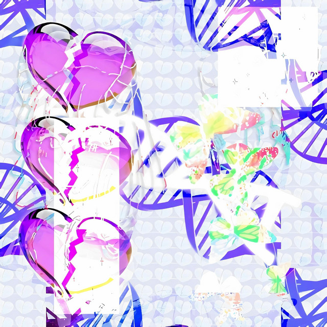 set-up cover art