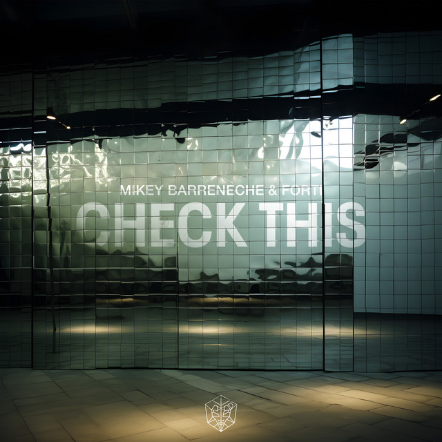 Check This - Extended Mix album art