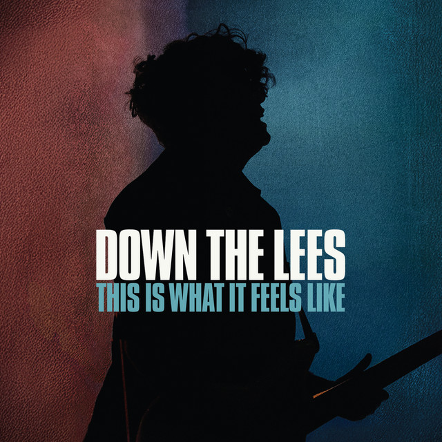 This Is What It Feels Like (Live) cover art