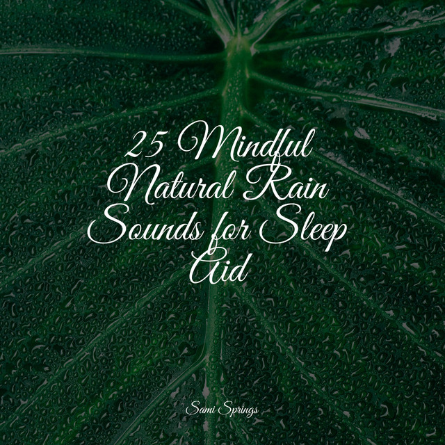 25 Mindful Natural Rain Sounds for Sleep Aid - Album by Sleepy Night ...