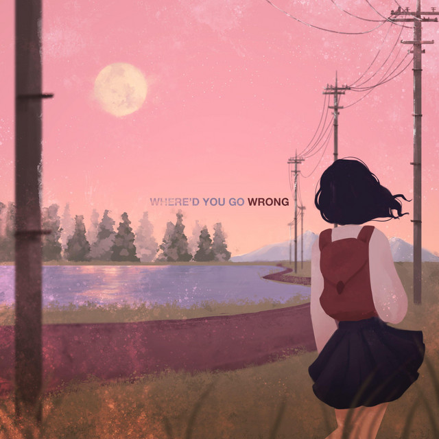 Where'd You Go Wrong? cover