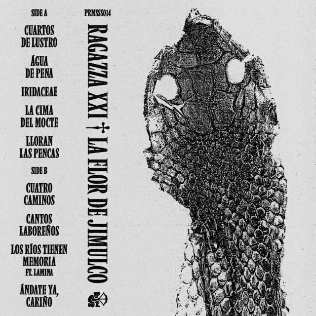 La Flor de Jimulco cover art