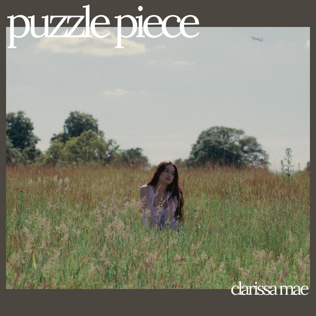 Puzzle Piece cover