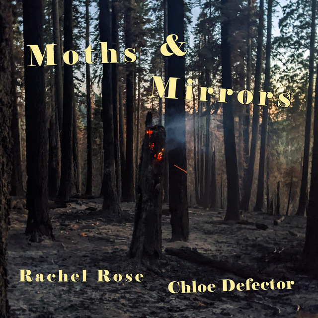 Moths & Mirrors cover art