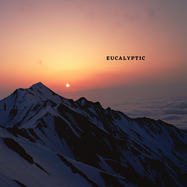 Sonic Waves cover art