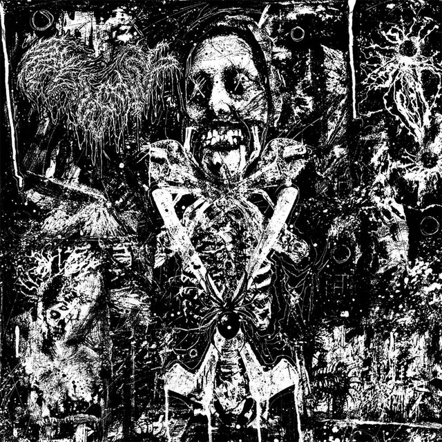 Carnal Amputation cover art