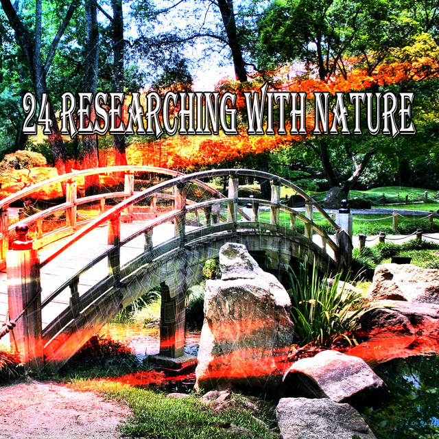 24 Researching With Nature - Album by Sleep Sounds of Nature | Spotify