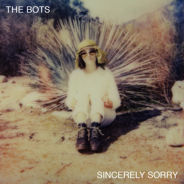 Sincerely Sorry cover