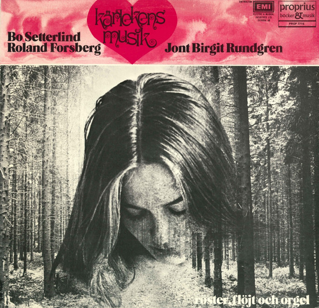 Kärlekens musik cover art