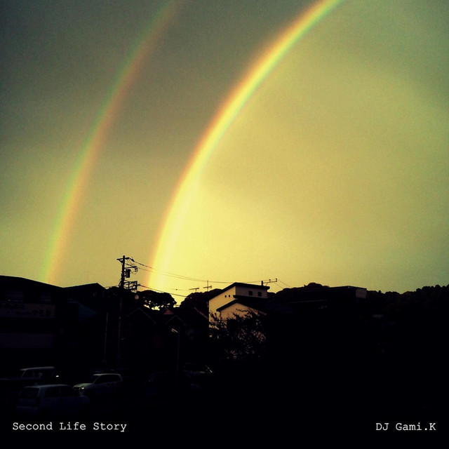 Second Life Story cover