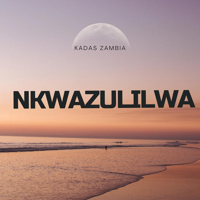 nkwazulilwa cover art