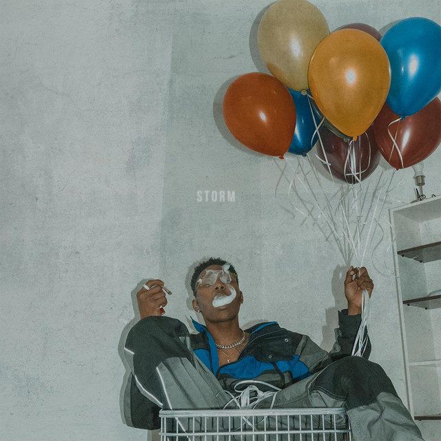 Storm cover art